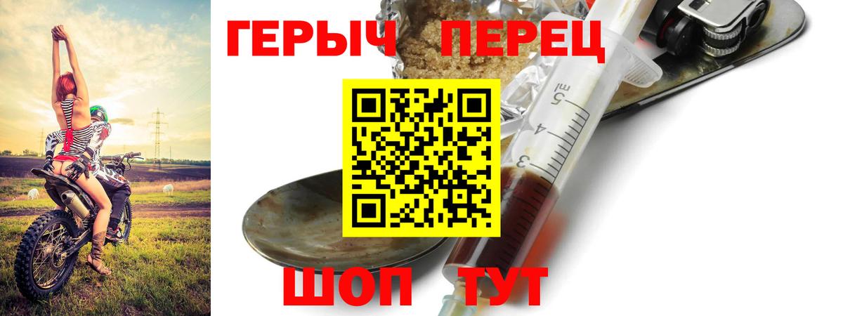 ГАШ Гудермес