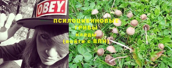 кокаин премиум Арсеньев