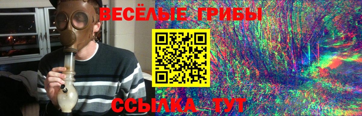 Псилоцибиновые грибы MAGIC MUSHROOMS Гудермес
